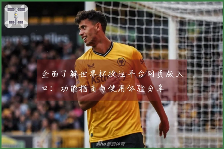 全面了解世界杯投注平台网页版入口：功能指南与使用体验分享