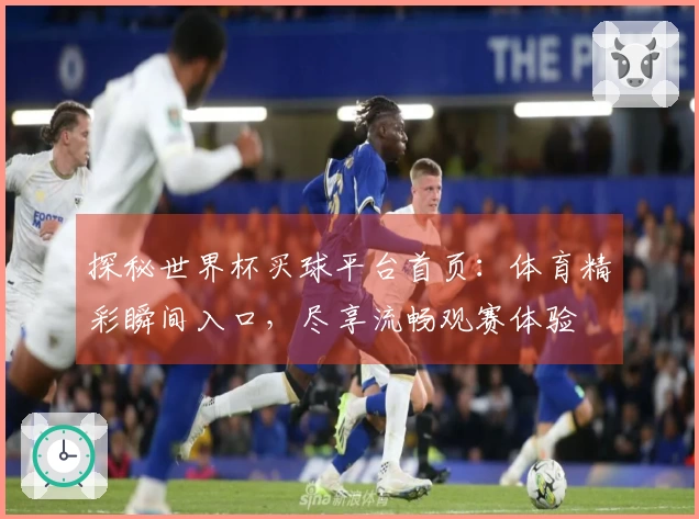 探秘世界杯买球平台首页：体育精彩瞬间入口，尽享流畅观赛体验