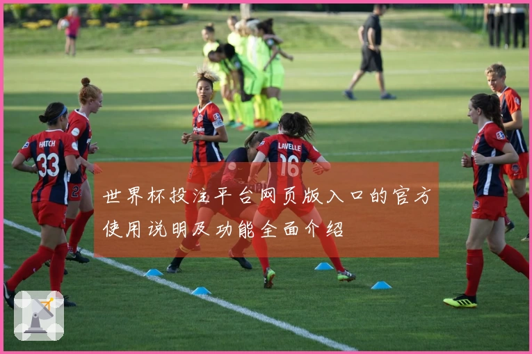 世界杯投注平台网页版入口的官方使用说明及功能全面介绍