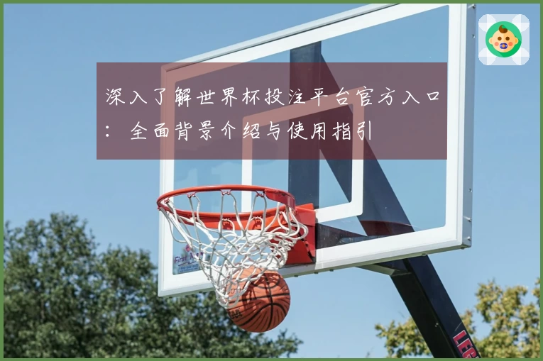 深入了解世界杯投注平台官方入口：全面背景介绍与使用指引