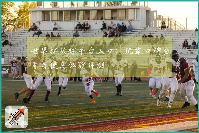 世界杯买球平台入口：玩家口碑分享与使用体验评测