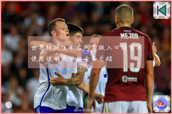 世界杯投注平台网页版入口的官方使用说明及功能全面介绍