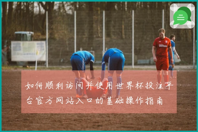 如何顺利访问并使用世界杯投注平台官方网站入口的基础操作指南