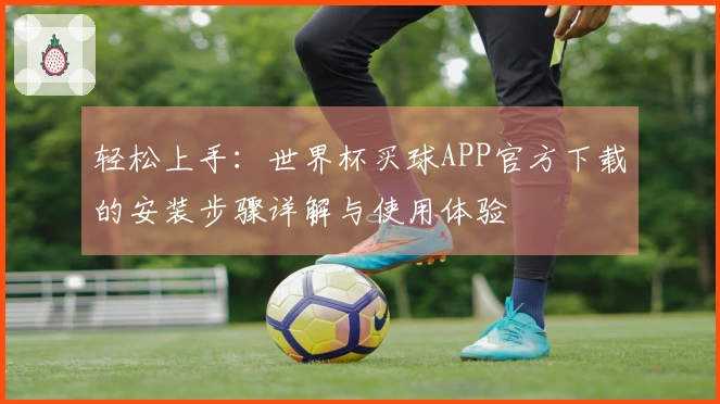 轻松上手：世界杯买球APP官方下载的安装步骤详解与使用体验