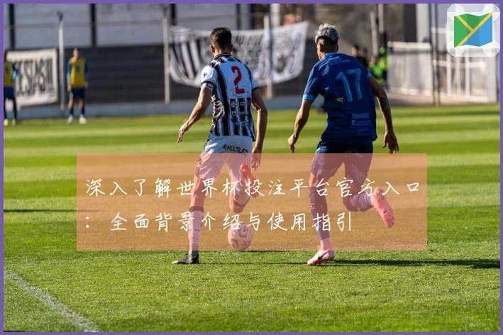 深入了解世界杯投注平台官方入口:全面背景介绍与使用指引