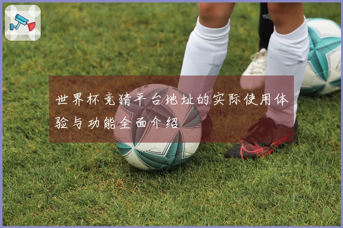 世界杯竞猜平台地址的实际使用体验与功能全面介绍