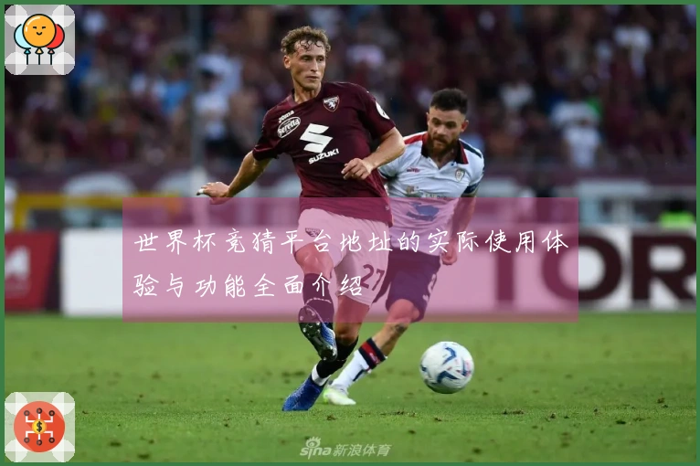 世界杯竞猜平台地址的实际使用体验与功能全面介绍