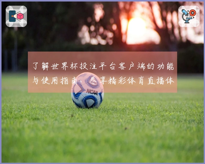 了解世界杯投注平台客户端的功能与使用指南，尽享精彩体育直播体验