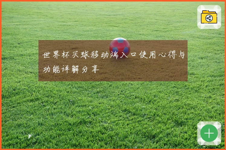 世界杯买球移动端入口使用心得与功能详解分享