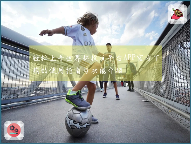 轻松上手世界杯投注平台APP官方下载的使用指南与功能介绍