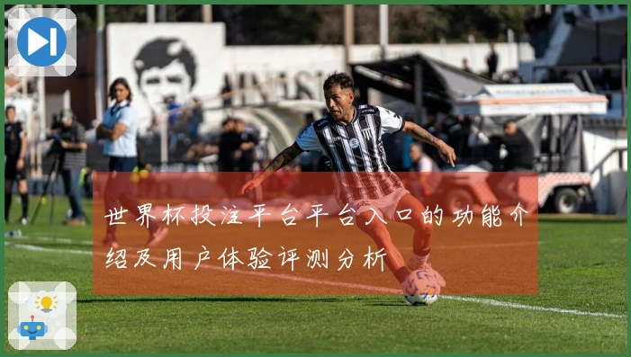世界杯投注平台平台入口的功能介绍及用户体验评测分析