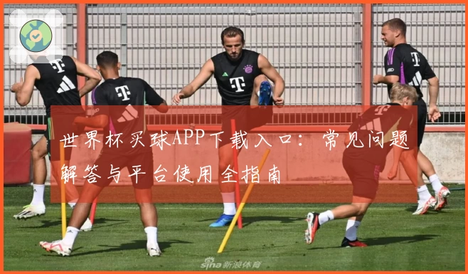 世界杯买球APP下载入口：常见问题解答与平台使用全指南