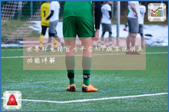 世界杯竞猜官方平台APP版本说明及功能详解