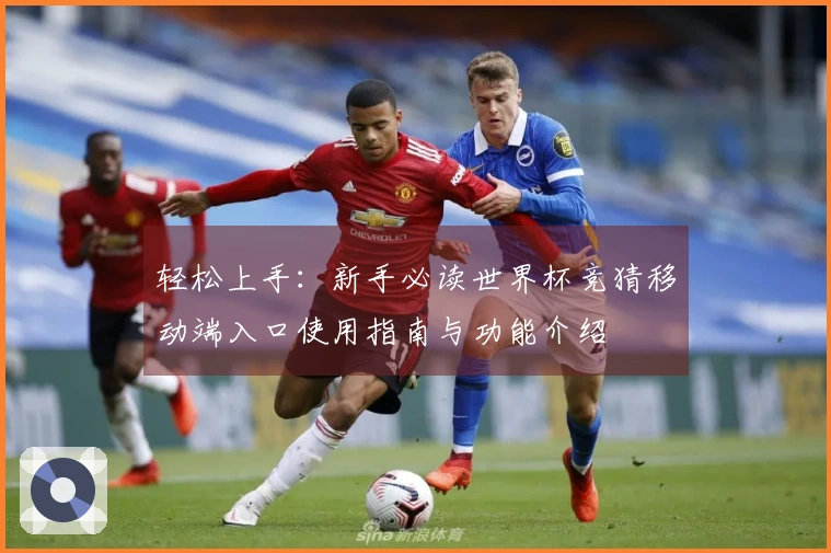 轻松上手：新手必读世界杯竞猜移动端入口使用指南与功能介绍