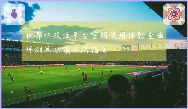 世界杯投注平台官网使用体验全面评测及功能分析指南