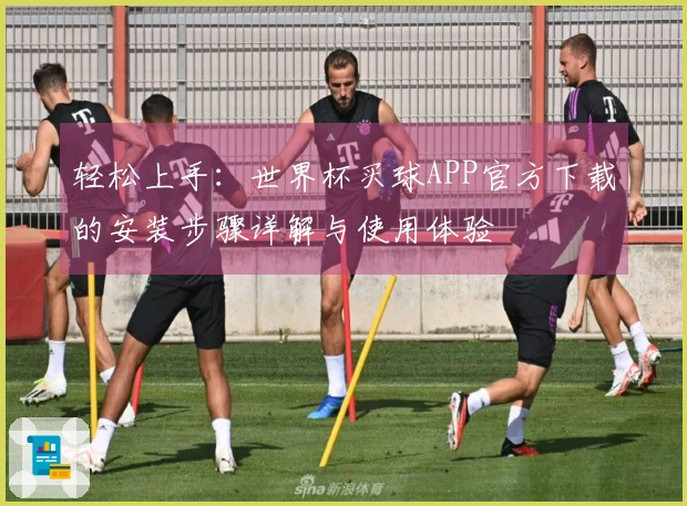 轻松上手：世界杯买球APP官方下载的安装步骤详解与使用体验