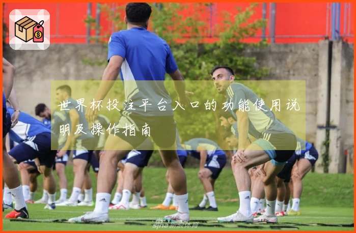 世界杯投注平台入口的功能使用说明及操作指南