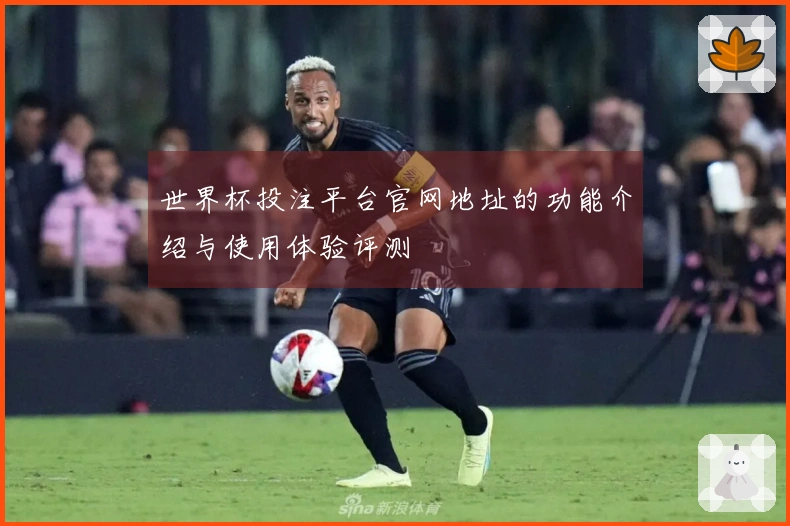 世界杯投注平台官网地址的功能介绍与使用体验评测