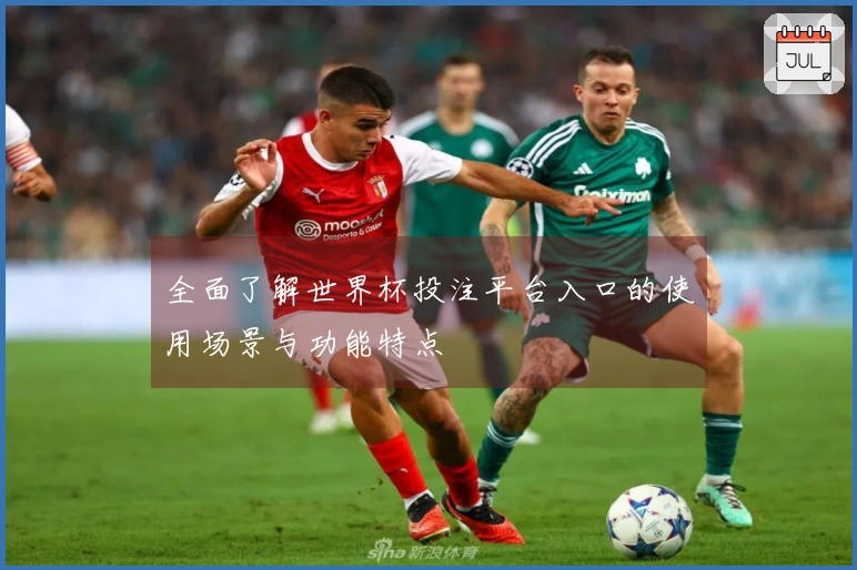 全面了解世界杯投注平台入口的使用场景与功能特点