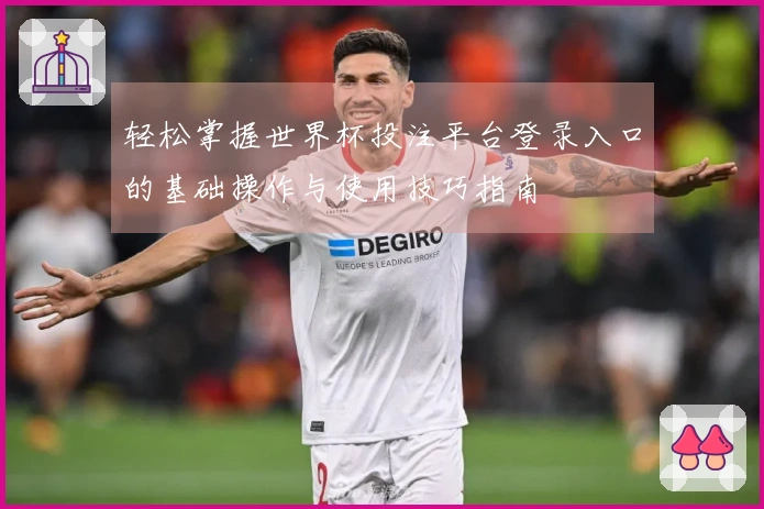 轻松掌握世界杯投注平台登录入口的基础操作与使用技巧指南